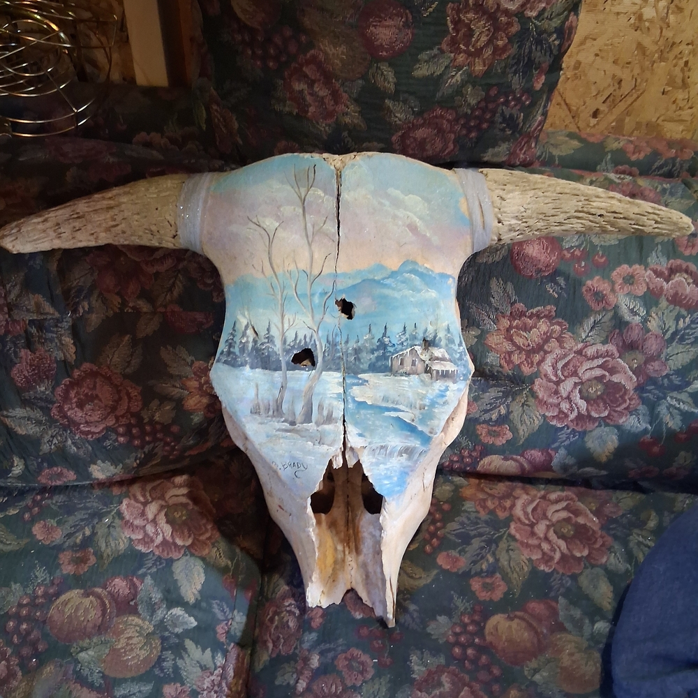 Rustic Painted Skull Sculpture